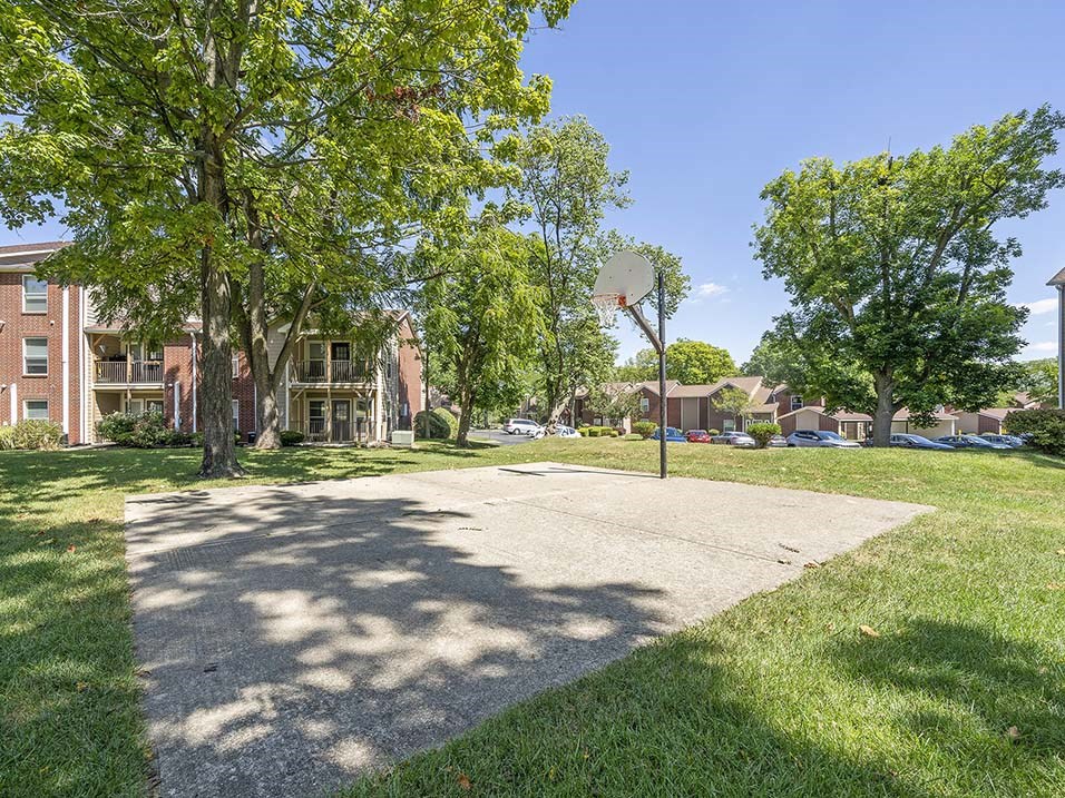 a basketball court in the middle of a park