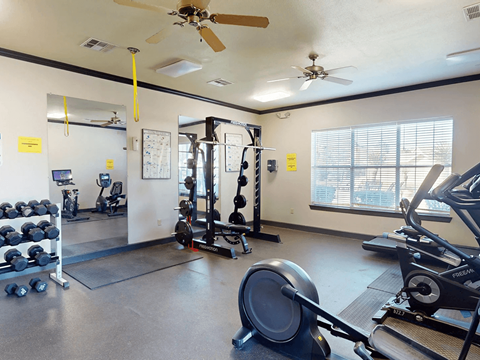 A gym with a variety of equipment including weights, a rowing machine, and a squat rack.