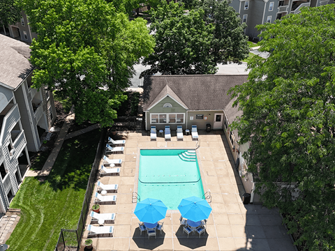 A pool surrounded by chairs and trees.