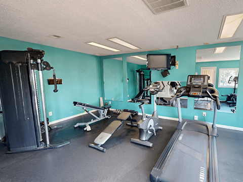A gym with treadmills, elliptical machines, and a television.