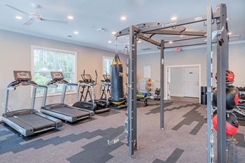 A gym with treadmills, a punching bag, and a pull up bar.