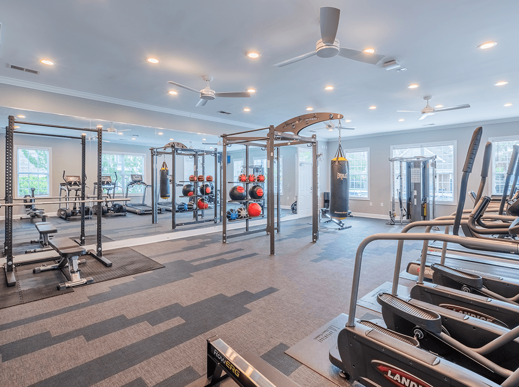 A gym with a variety of equipment including treadmills, weights, and a bench press.