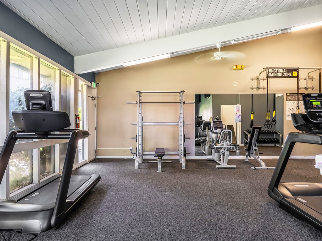 A gym with treadmills, weights, and exercise equipment.