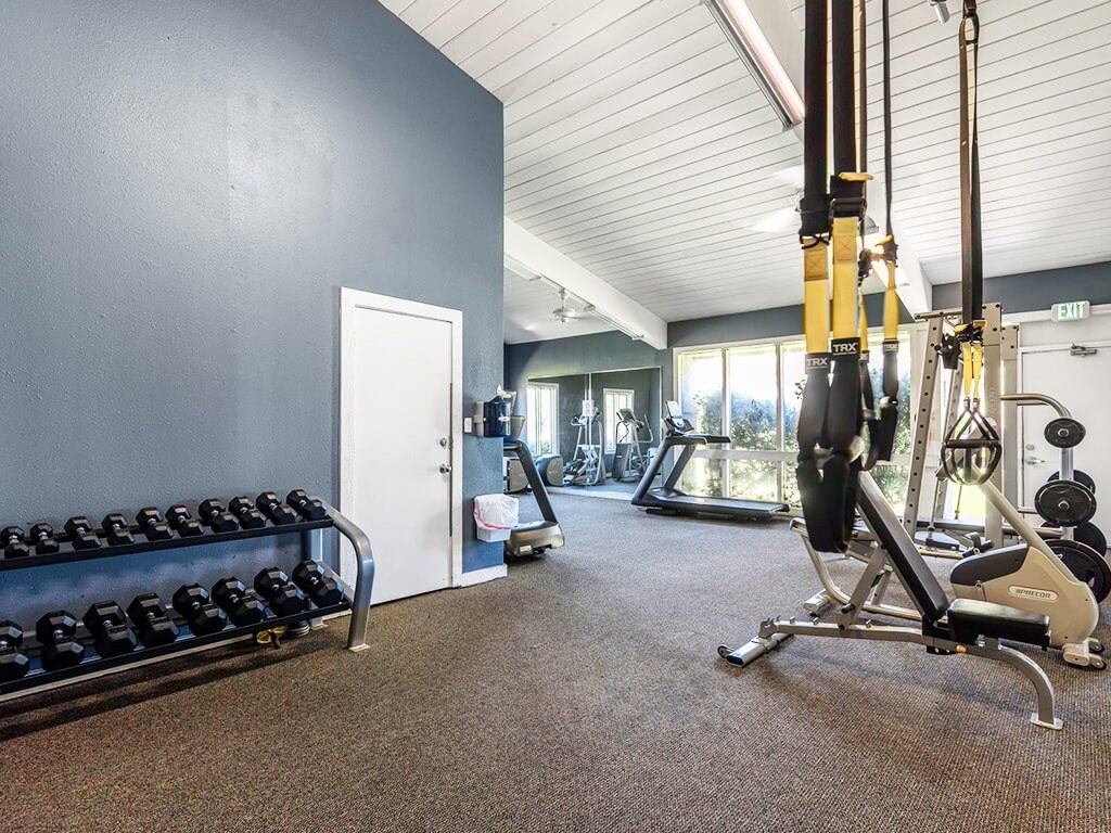 A gym with a variety of equipment including a weight bench, a leg press machine, and a rowing machine.