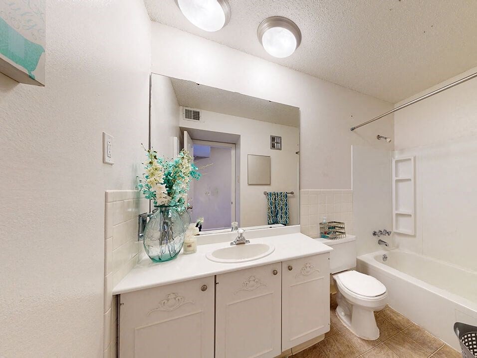 a bathroom with a sink and a toilet and a mirror