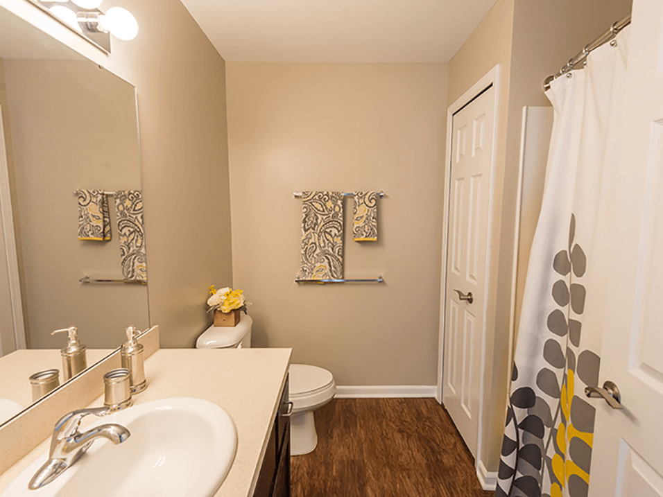 a bathroom with a sink and a toilet and a shower