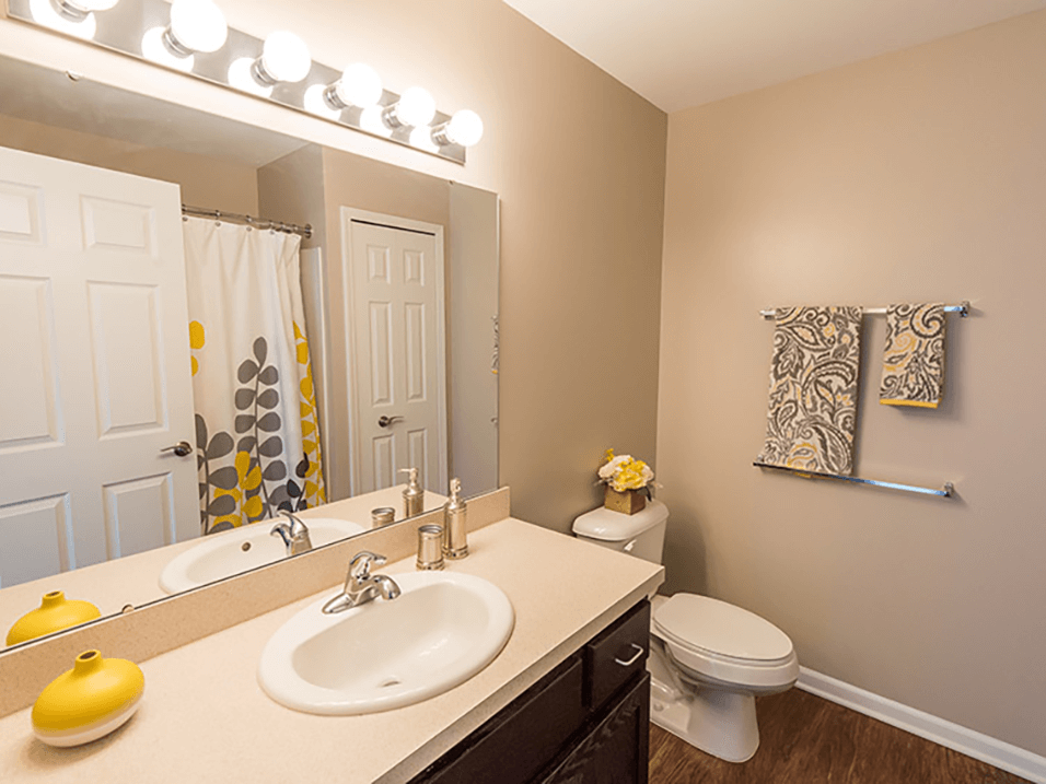 a bathroom with a sink and a toilet and a mirror