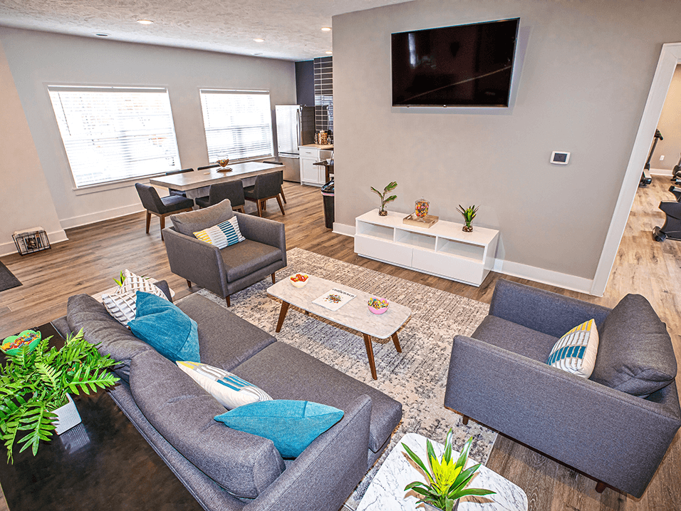 a living room with couches and a tv