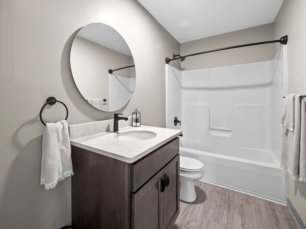 a bathroom with a sink and a shower and a mirror