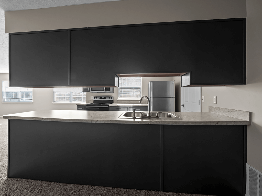 a kitchen with black cabinets and a sink and a refrigerator