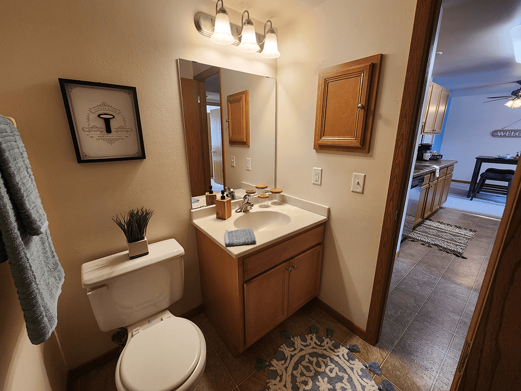 A bathroom with a toilet, sink, mirror, and a rug.