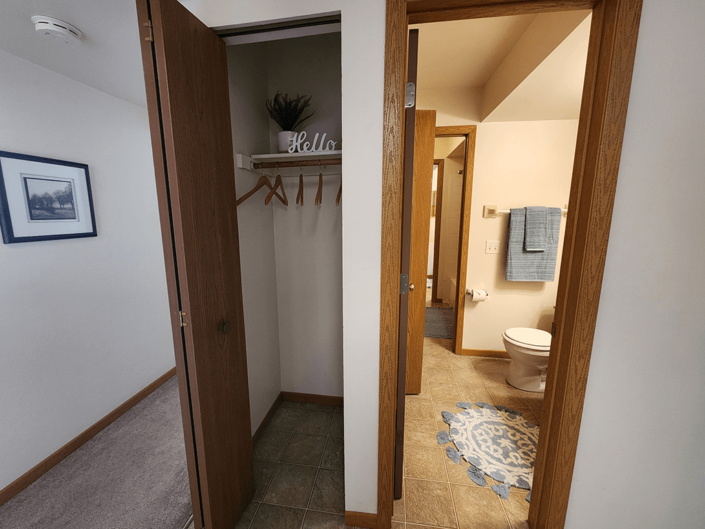 A bathroom with a toilet and a rug on the floor.