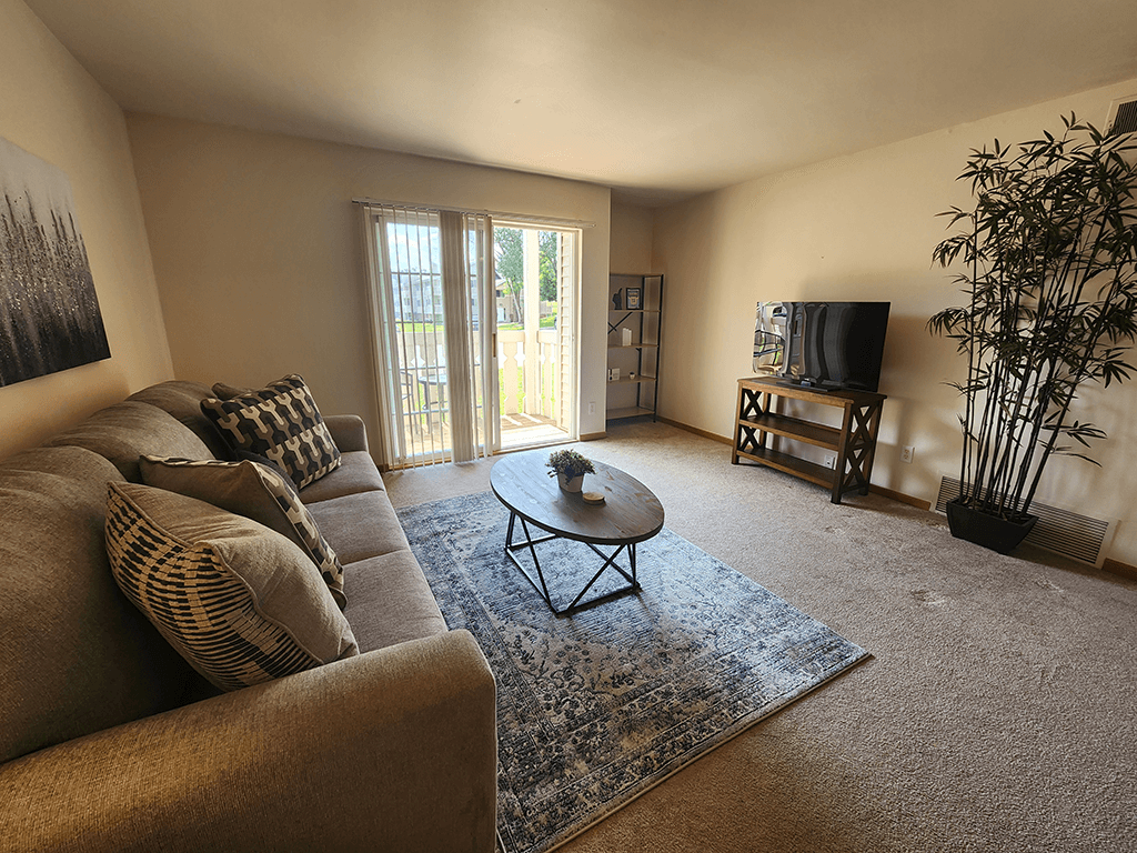 A living room with a couch, a coffee table, and a television.