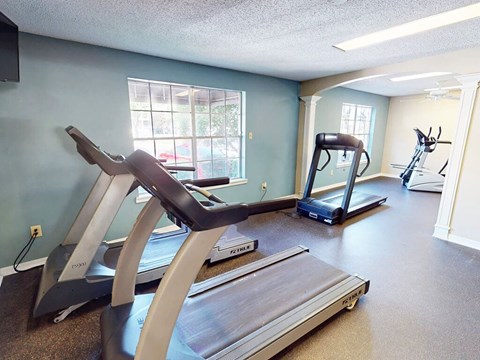 A treadmill and a rowing machine are in a spacious room.