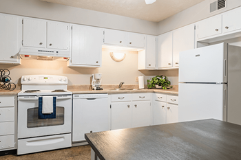Electric Range