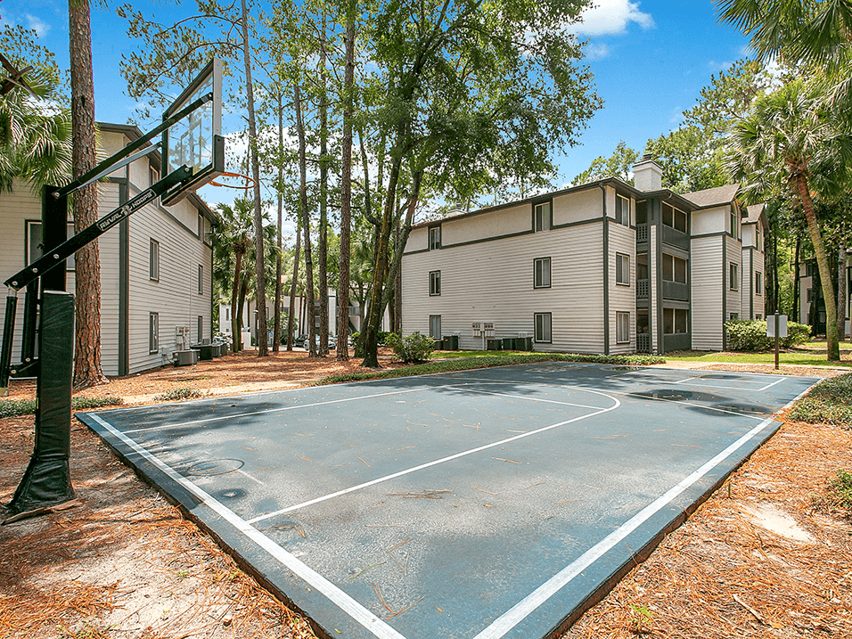 basketball court at the Earl Apartments