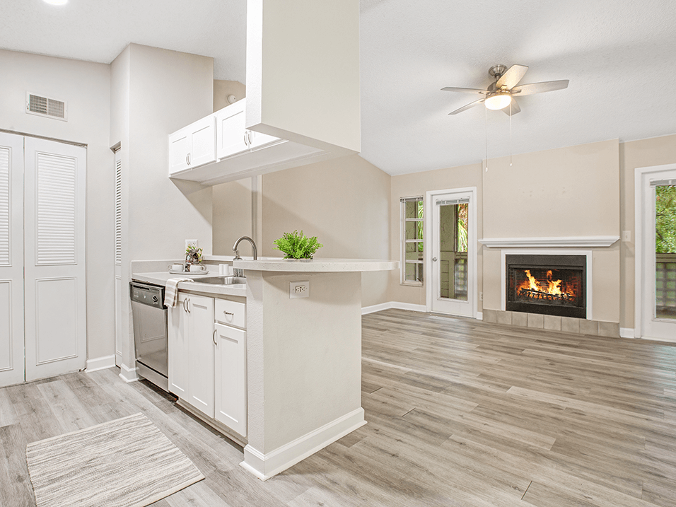 Apartments with fireplace and dishwasher