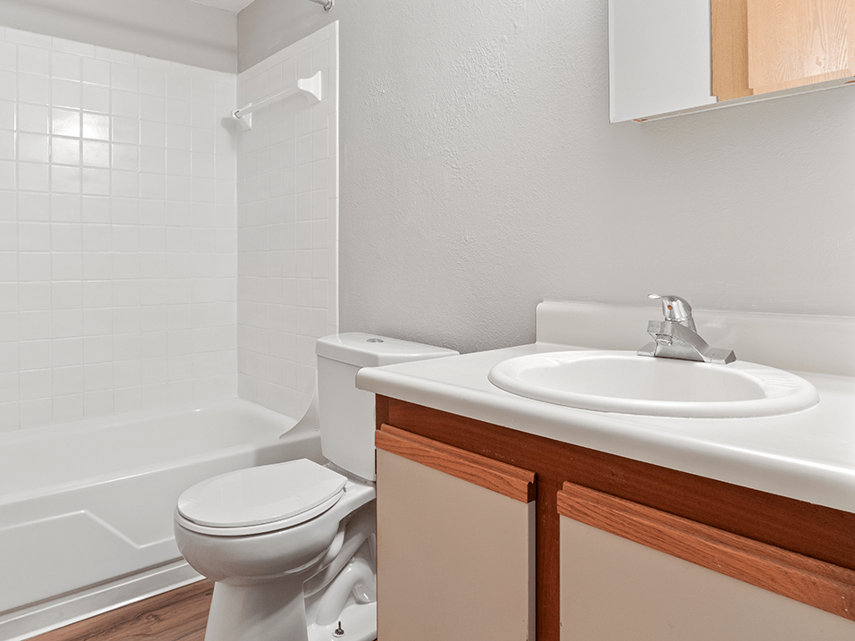 bathroom with a sink, toilet and tub