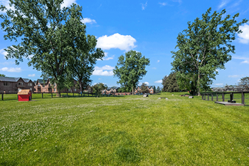 A green field with trees and a bench.