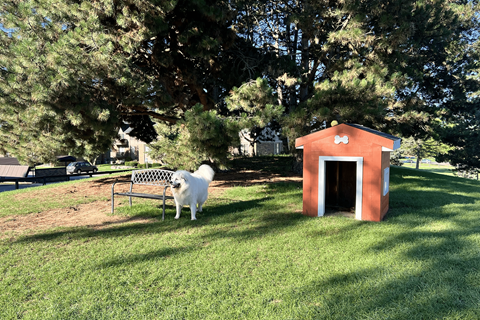 A dog is standing in front of a small red building.
