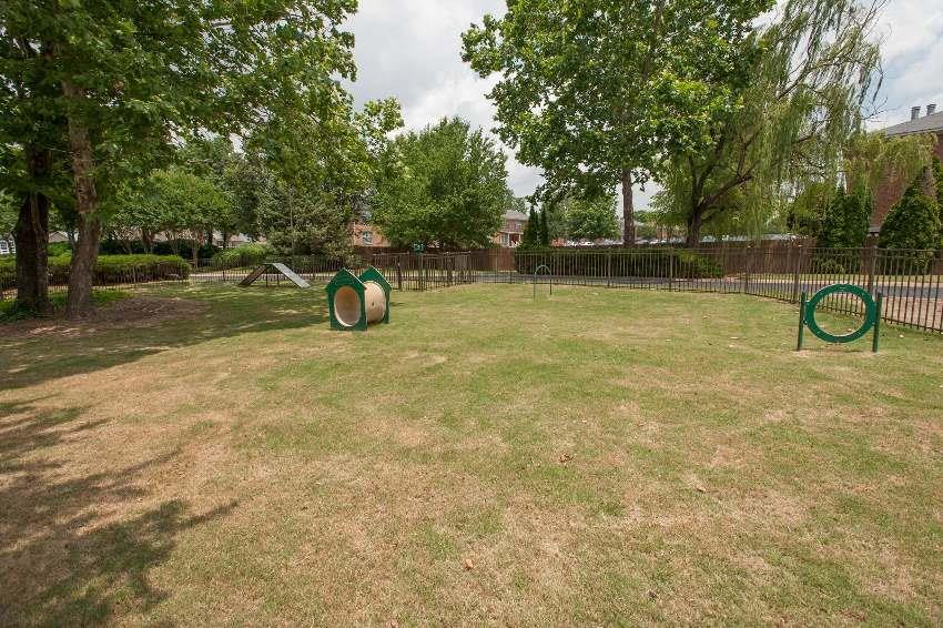 Dog park at Woods of Post House Apartments in Jackson, TN