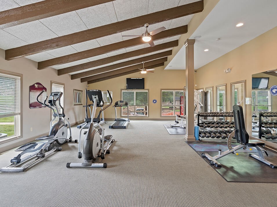 the gym in the owners home has treadmills and other exercise equipment
