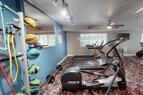 A gym with a row of treadmills and exercise balls on the wall.
