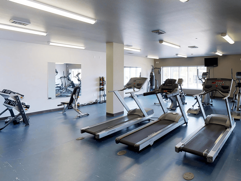a gym with treadmills and other exercise equipment
