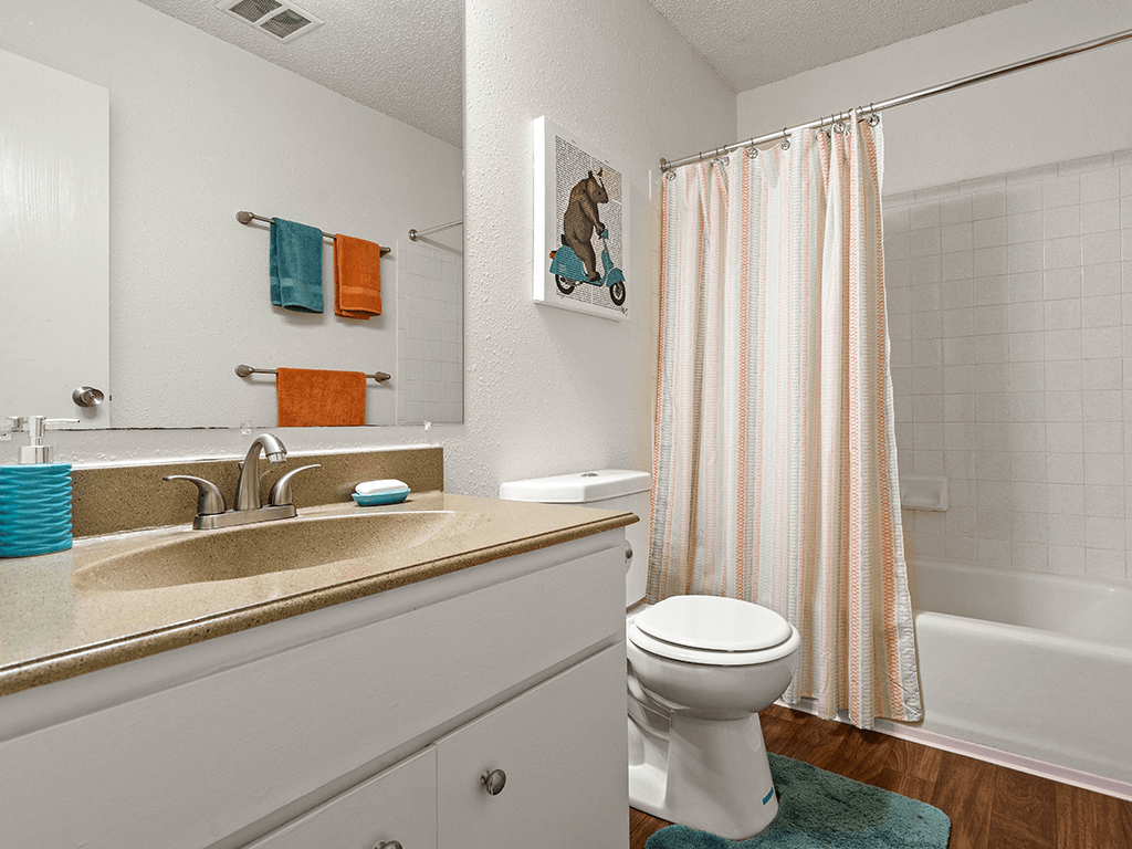 a bathroom with a sink and a toilet and a shower