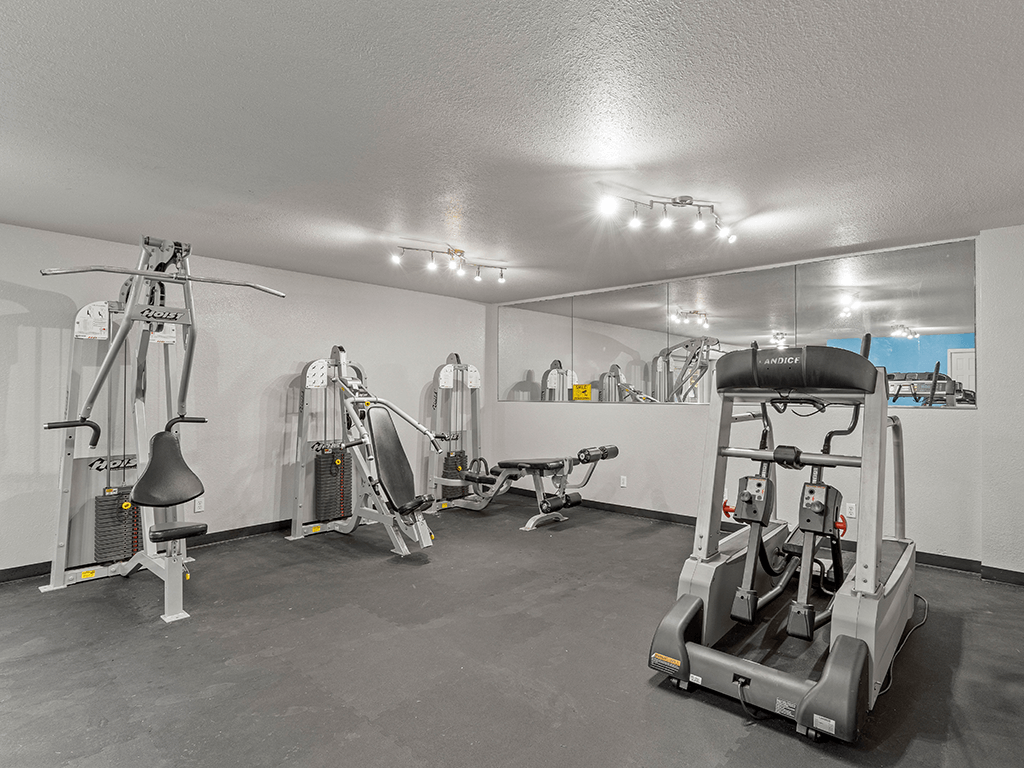 a gym with treadmills and other exercise equipment in a garage