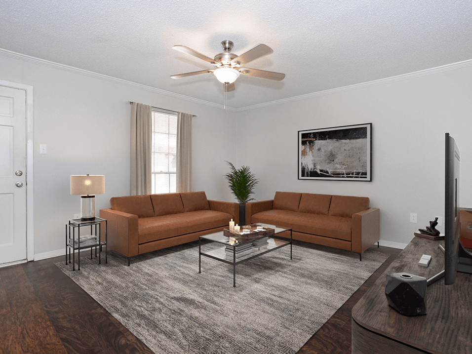 apartment living room with couches