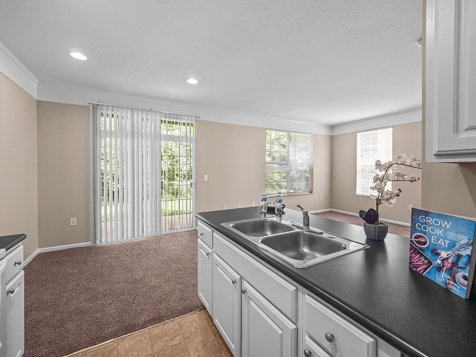 apartment kitchen with double bowl sink