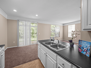 apartment kitchen with double bowl sink - Photo Gallery 5