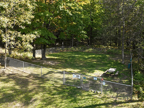 A fenced-in area with a picnic table in the middle of a grassy field.