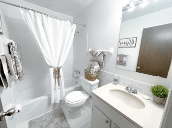 full bathroom at tiffany woods apartments with lots of lighting - Photo Gallery 7