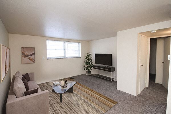apartment model living room - Photo Gallery