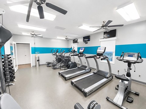A gym with treadmills, elliptical machines, and a fan.