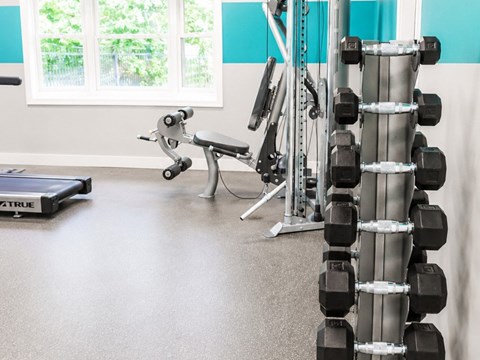 A gym with a weight rack, bench, and a treadmill.