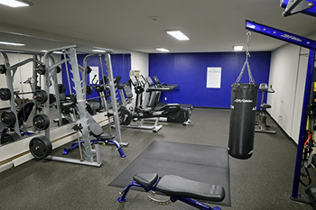 A gym with a variety of equipment including weights and a punching bag.