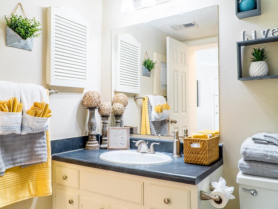 a bathroom with a sink and a mirror