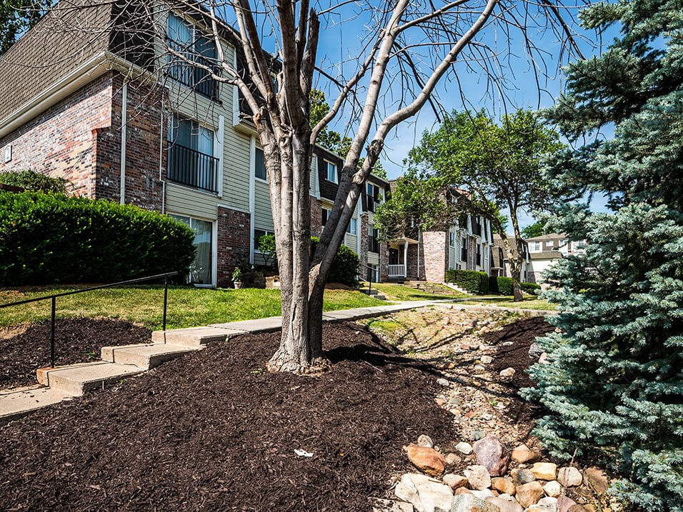 a tree in front of an apartment building