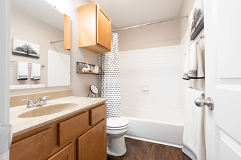 a bathroom with a sink toilet and shower and a bath tub