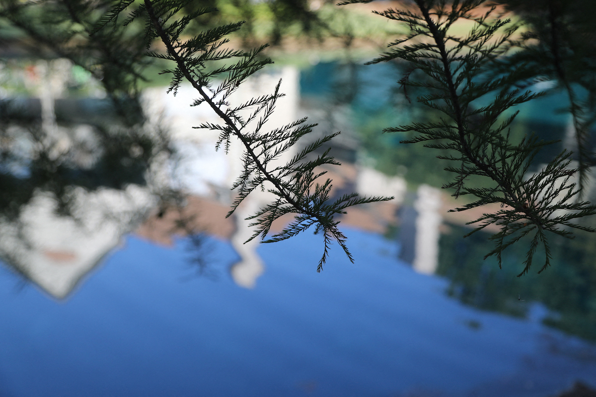 Woods of Post House Apartments in Jackson, TN