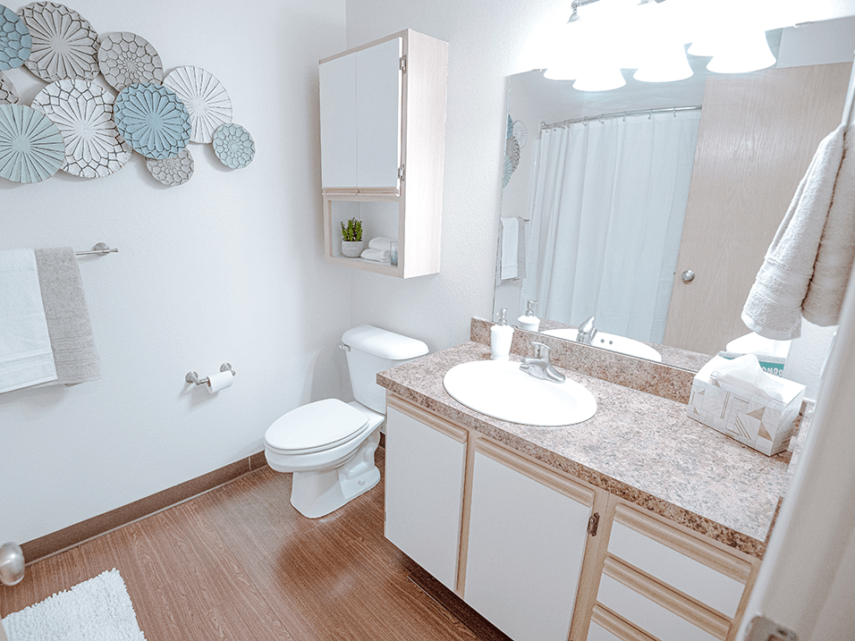 bathroom with lots of storage space