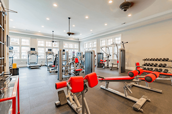 A gym with a variety of equipment including weights and cardio machines.