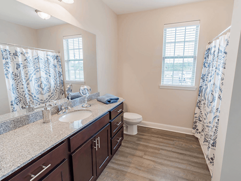 A bathroom with a sink, toilet, and shower.