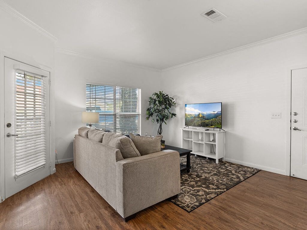 A living room with a couch, a television, and a plant.