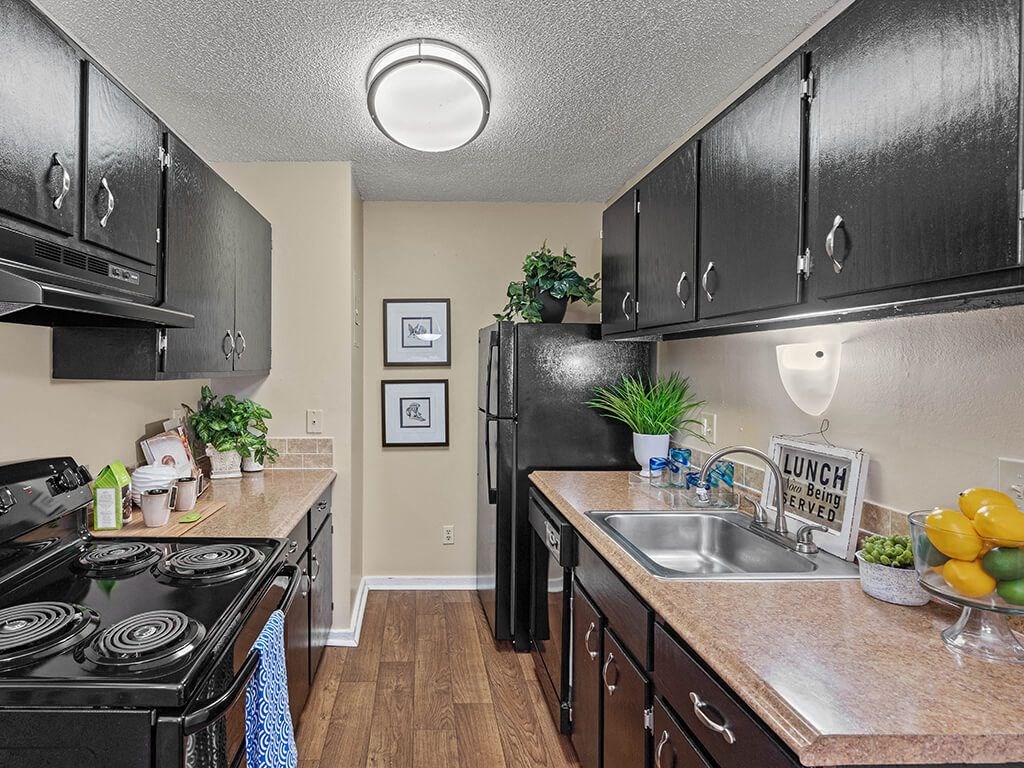 a kitchen with a stove, dishwasher and refrigerator