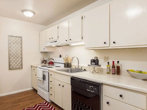 a kitchen with white cabinets and a sink and a dishwasher