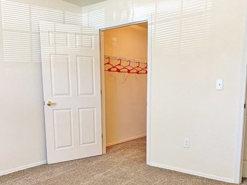 bedroom with walk-in closet
